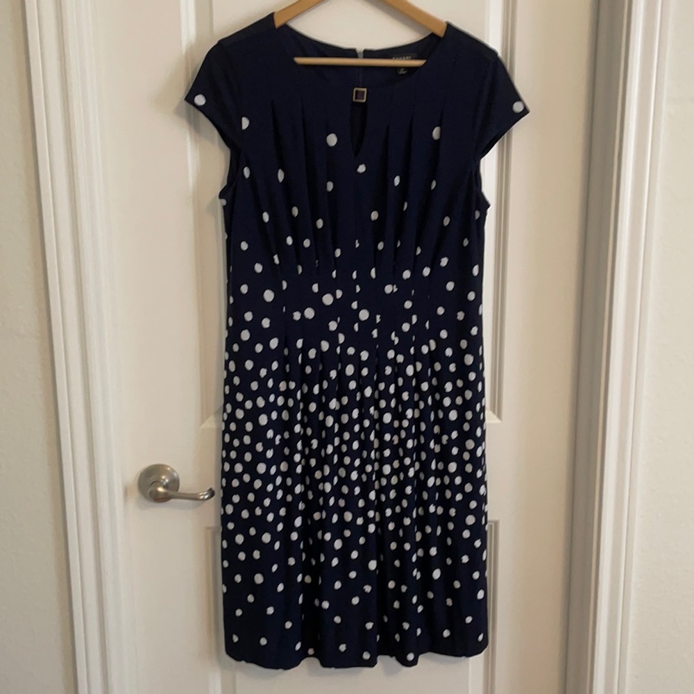 Tahari ASL navy dot dress